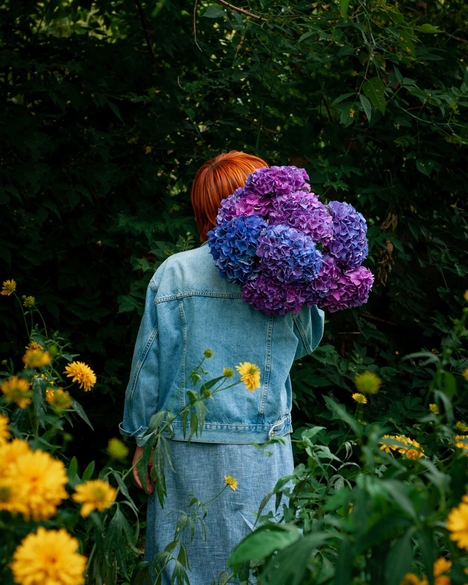 Гортензия (Hydrangea) - Kazan Flower School